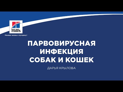 Видео: Вебинар на тему: "Парвовирусные инфекции собак и кошек. Группы крови кошек".