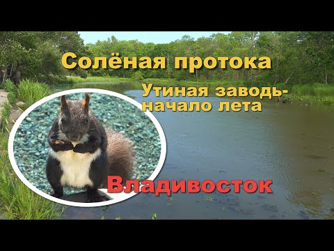 Видео: Начало лета на реке -СОЛЁНАЯ ПРОТОКА - БЕЛКИ -УТЯТА- 4K