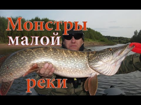 Видео: Gan Craft Rest 128SF крошит щуку на каждом забросе!!! Ловля щуки на спиннинг. Рыбалка на щуку осенью