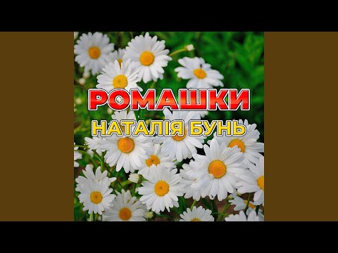 Видео: Ромашки білі