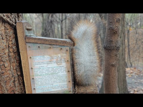 Видео: Мир не без добрый людей! 🤗 The world is not without good people!