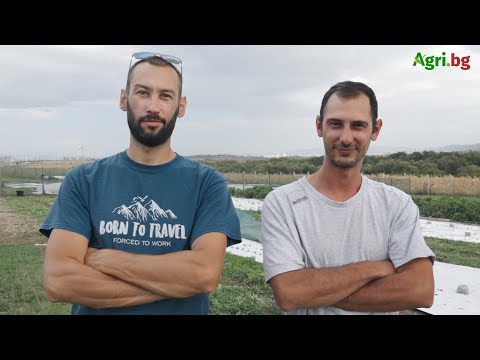 Видео: Биоинтензивно земеделие: Що е то и трябва ли винаги да влагаш много, за да получиш добра реколта