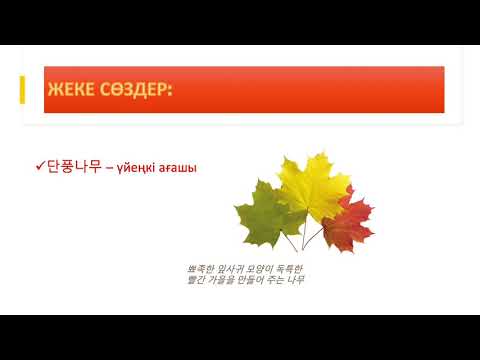 Видео: 14 САБАҚ: Күзге қатысты кәрісше АЙТЫЛЫМДАР/СӨЗДЕР[кәріс тілі/корейский язык] 가을에 관한 표현 총모음/가을 관련 단어