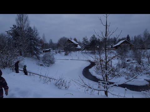 Видео: Прогулка по деревне. ЧС в Новгородской области.