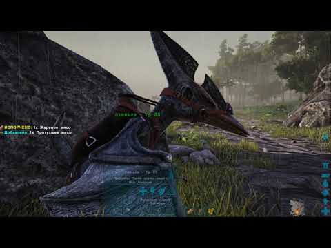 Видео: В поисках места проживания ч5   ARK Survival Evolved