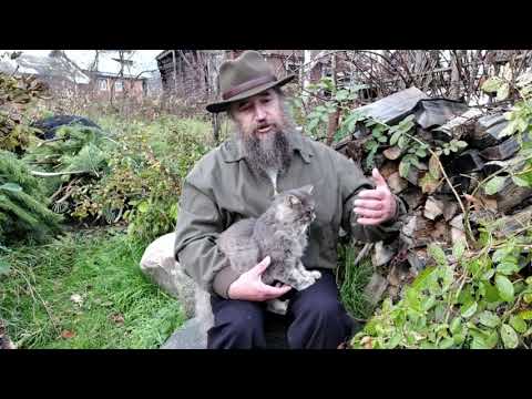 Видео: Зачем молиться в дорогу?