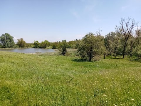 Видео: 15 05 22 хутор Веселая Горка