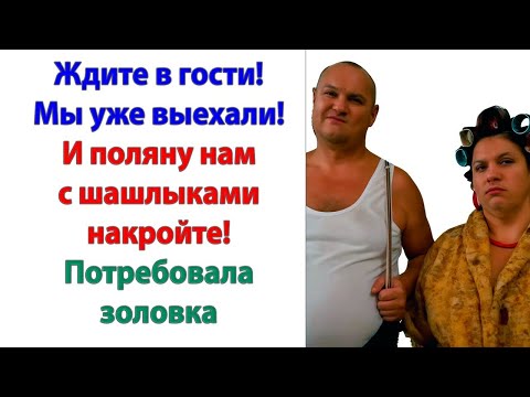 Видео: Это настоящее свинство с вашей стороны! Мы же вас предупредили, что приедем! А еще родня называется!