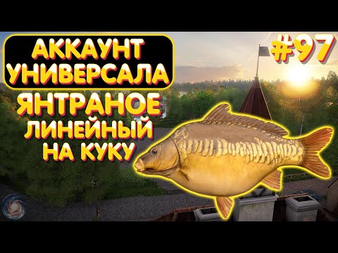 Видео: Аккаунт универсала #97 | Линейный на куку - Янтарное | Русская Рыбалка 4