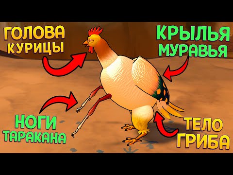 Видео: ЧТО ТАКОЕ ЭВОЛЮЦИЯ