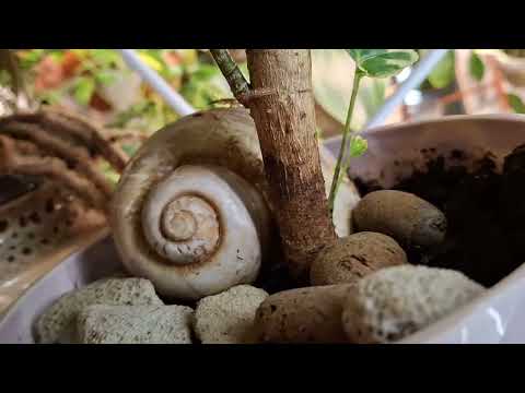 Видео: Вечерний обзор