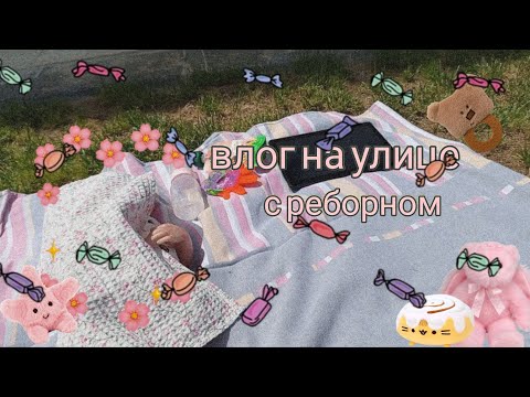 Видео: Пикник с реборном/влог с реборном/ответ на вопрос/влог/ Ami life