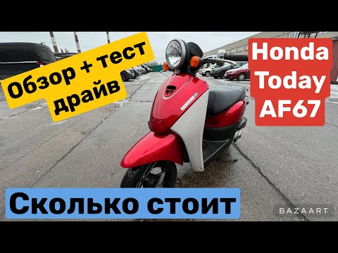 Видео: 28 ноября 2022 г.