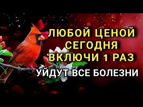 Видео: ❤️ ЛЮБОЙ ЦЕНОЙ ВКЛЮЧИ 1 РАЗ! УЙДУТ ВСЕ БОЛЕЗНИ! Сильнейшая молитва об исцелении.