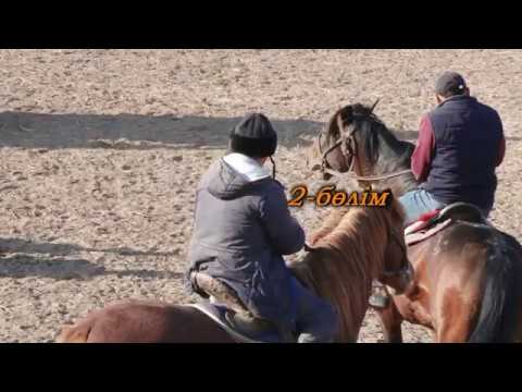 Видео: Кокпар  2  казыгурт ауданы  Сейдехан ата еске алу
