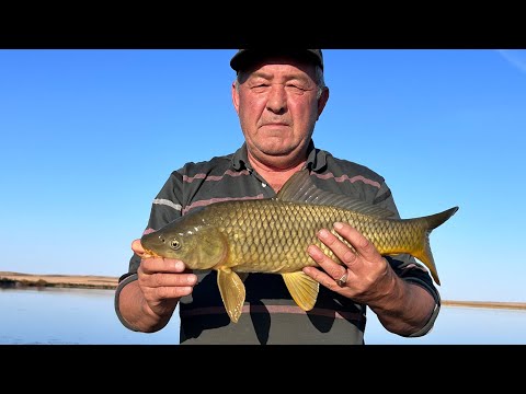 Видео: Неожиданный клёв! Рыбалка на Лысом озере в сентябре