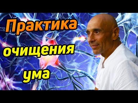 Видео: Практика очищения ума/ Оптимизация каналов восприятия/ Нияма