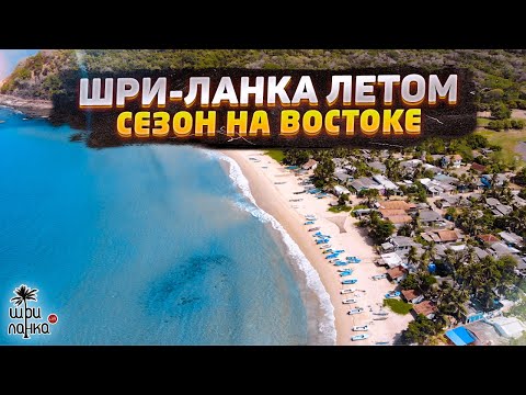 Видео: ШРИ-ЛАНКА ЛЕТОМ / Сезон на востоке: Тринкомали, Уппувели, Нилавели
