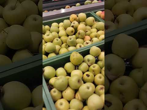 Видео: 11 сентября 2025 г.