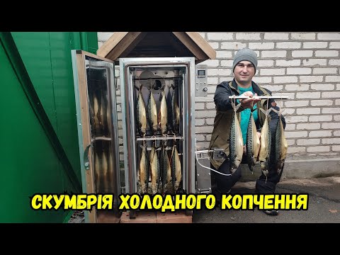 Видео: СКУМБРІЯ ХОЛОДНОГО КОПЧЕННЯ ВСІ ЕТАПИ В КОПТИЛЬНІ DREVOS / ЦЕ ДУЖЕ ПРОСТО