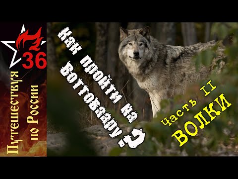 Видео: КАК ПРОЙТИ НА ВОТТОВААРУ? Волки! (Часть II)