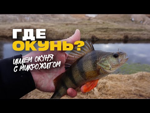 Видео: Микроджиг Где Искать Окуня Ранней Весной?