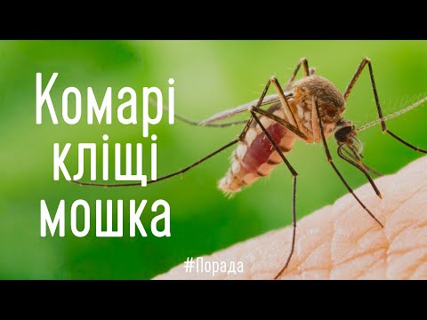 Видео: Що робити? Комарі, кліщі і мошка в походах