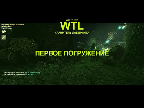 Видео: Will to Live: Лабиринт 2025 год начало Ч2. ПЕРВОЕ ПОГРУЖЕНИЕ