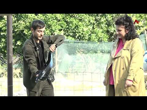 Видео: Иааиуа ашықәс азы ақыҭанхамҩа  аҿиаразы апрограмма  иазоужьхоит миллиардбжак