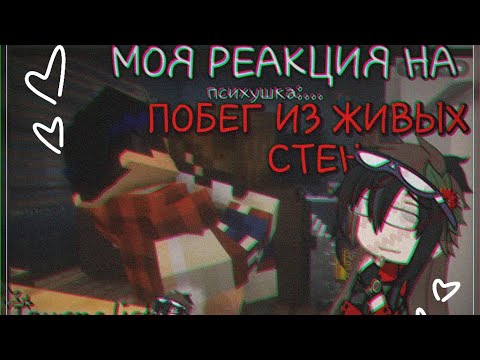 Видео: МОЯ РЕАКЦИЯ НА НОВУЮ СЬРАШЫЛКУ ЛИНЧА