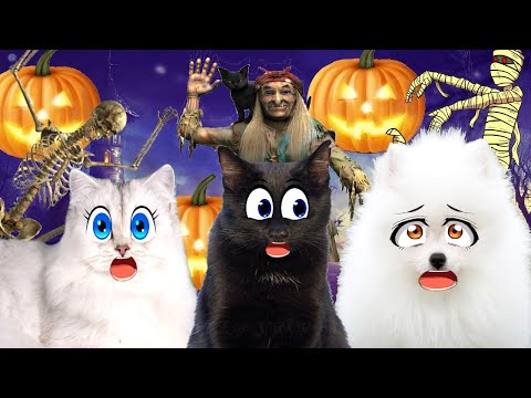 Видео: ХЭЛЛОУИН!!! Самые ЗАХВАТЫВАЮЩИЕ Ролики! Будет Страшно ИНТЕРЕСНО!