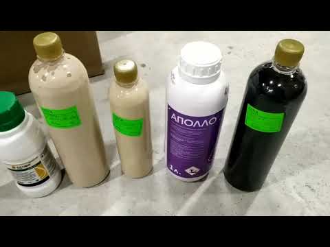 Видео: Удобрения и средства защиты для клубники!