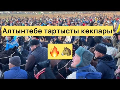 Видео: Алтынтөбе тартыс көкпар 🐴 мини Бейбіт ат тарнада Алош мырзаның.Көкпар алемі.