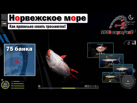 Видео: Как правильно троллить на море • Норвежское Море • Русская Рыбалка 4