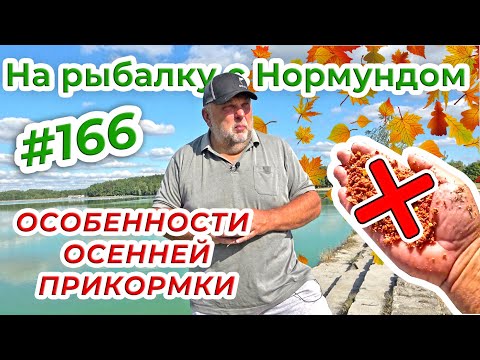 Видео: ОСЕННЯЯ ПРИКОРМКА - КАК НЕ ИСПОРТИТЬ СЕБЕ РЫБОЛОВНЫЙ ДЕНЬ / На рыбалку с Нормундом #166