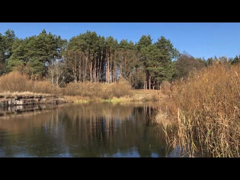 Видео: ПОСЛЕДНЯЯ РЫБАЛКА ЛОДКОЙ!ЛОВИМ РЫБУ НА ПЛАВАЮЩИЕ СЕТКИ!