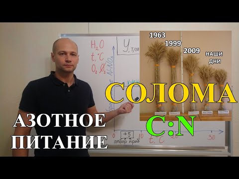 Видео: Корректировка азотных удобрений на солому зерновых и корневые остатки бобовых культур