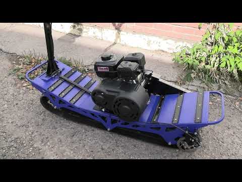 Видео: Мото-сноуборд на вариаторе TAV2-40.