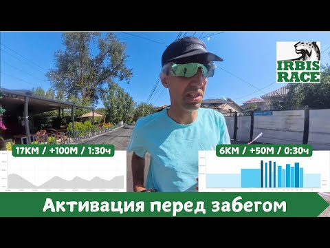 Видео: Подводка к Ирбису = Набор + Активация 🏃‍♂️ | Pedro Vizuete