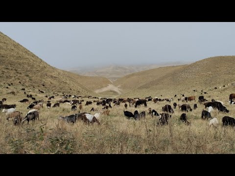 Видео: Дехаи Киблаи. Койсавгон ⛰️