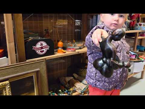 Видео: Местный магазин барахолка, как в музее. Незапланированное видео и прогулка. #Дания #жизньвдеревне