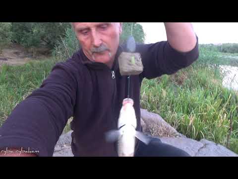Видео: Рыбалка на карася. Ловля на макушатники на жмых.