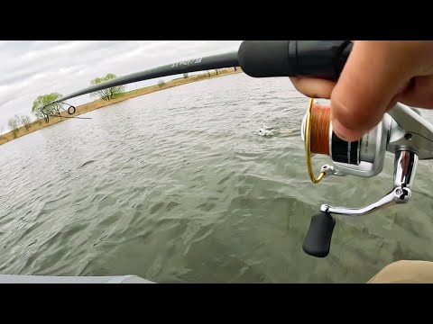 Видео: СМЕНИЛ приманку, КАК СПИННИНГ В ДУГУ! Рыбалка на блесну и силикон. Спиннинг в 2024