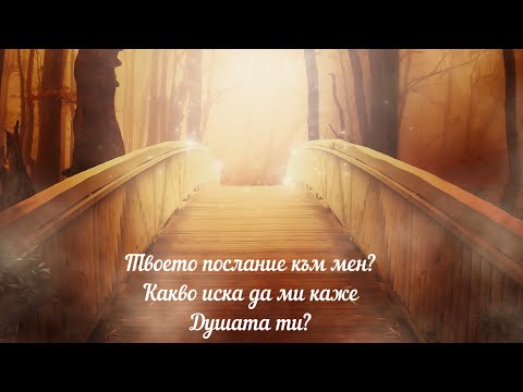 Видео: Какво би ми прошепнал сега? 🥰Какво послание ми изпращаш в този момент? 🧸Аз пред теб и ти пред мен🦋