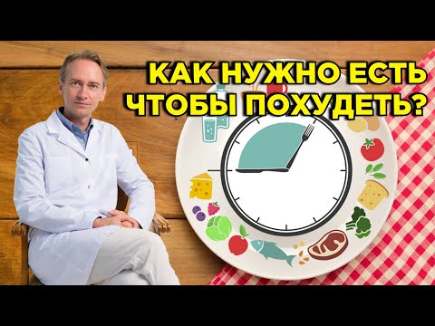 Видео: Как есть, сколько есть, как часто есть и когда уже стоит остановиться?