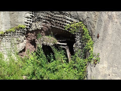 Видео: Край Гюешево от 70 години чакат влака за Македония