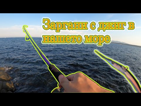 Видео: Риболов на зарган с джиг в нашето море. Какви джигове да ползваме?