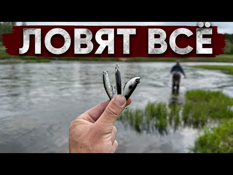 Видео: Приманки и снасти которые ТВОРЯТ ЧУДЕСА! Чуть не сбил ОГРОМНУЮ ЗВЕРЮГУ!