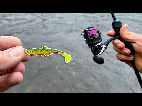 Видео: Речная рыбалка на всё, что клюёт! (Ловля на приманку)