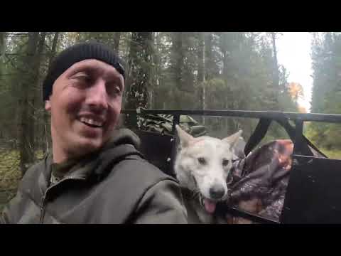 Видео: Строительство бытовки на таёжной речке.Часть первая.